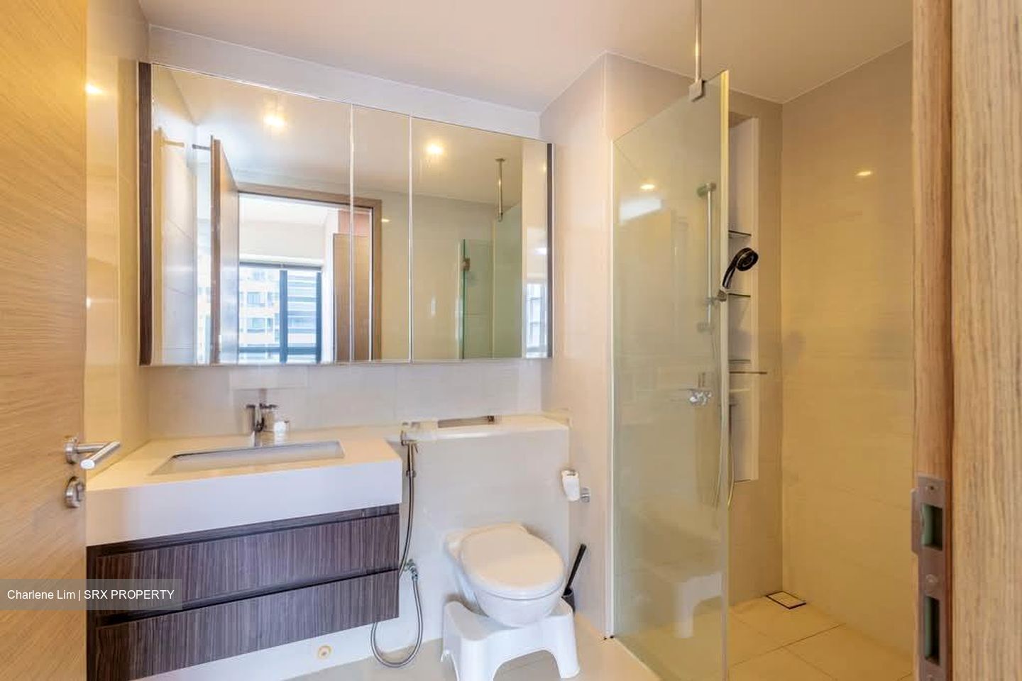 The Palette (D18), Condominium #581712021